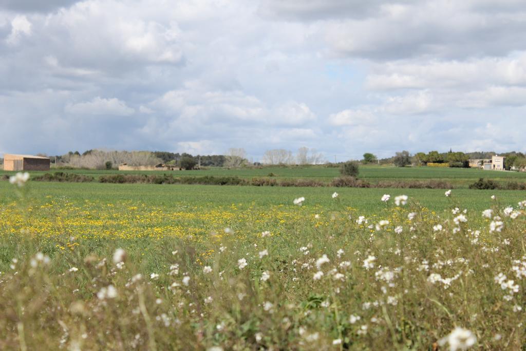 Allotjament Activitats Bora Bora-Empordà Verges Esterno foto
